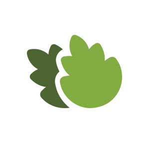 Nahrbtnik za organizacijo opreme Petzl Expert 55